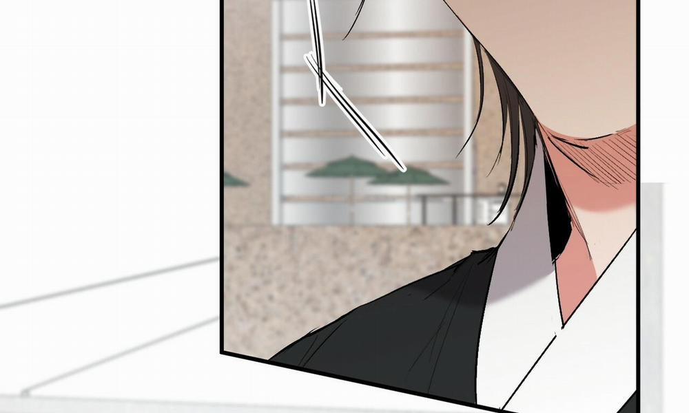 Đàn Thỏ Của Habibi 50 trang 186