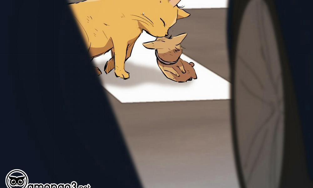 Đàn Thỏ Của Habibi 50 trang 190