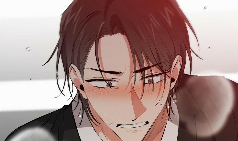 Đàn Thỏ Của Habibi 50 trang 201