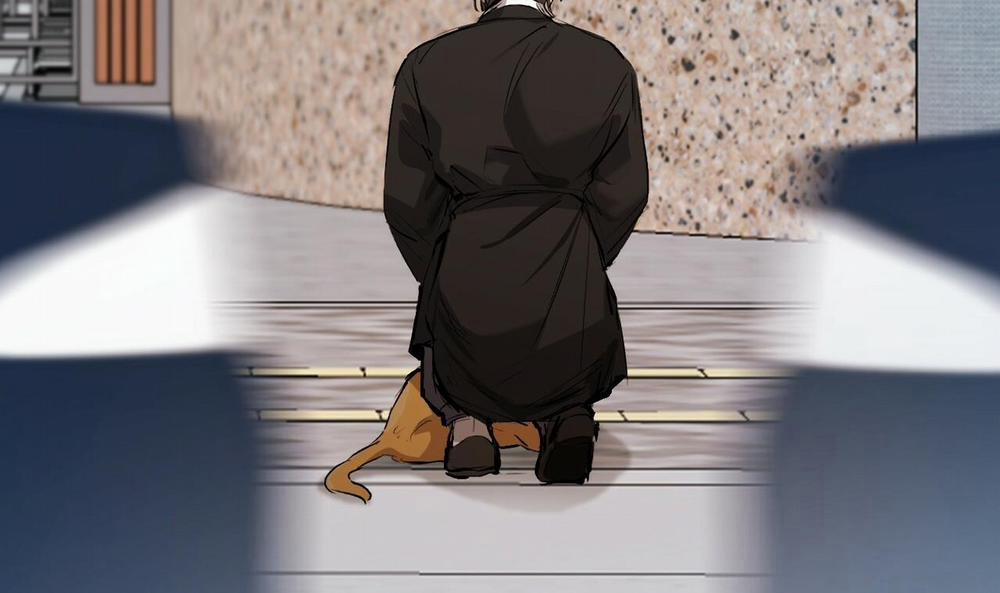 Đàn Thỏ Của Habibi 50 trang 225