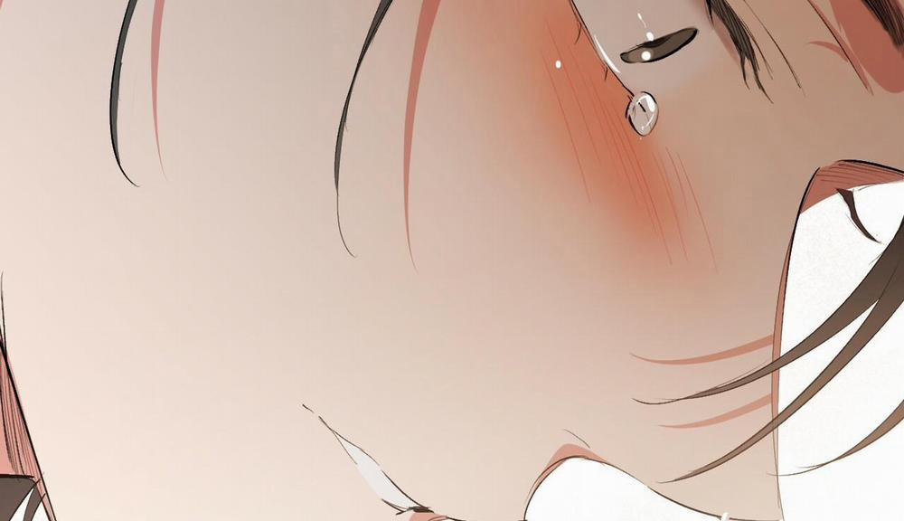 Đàn Thỏ Của Habibi 50 trang 252