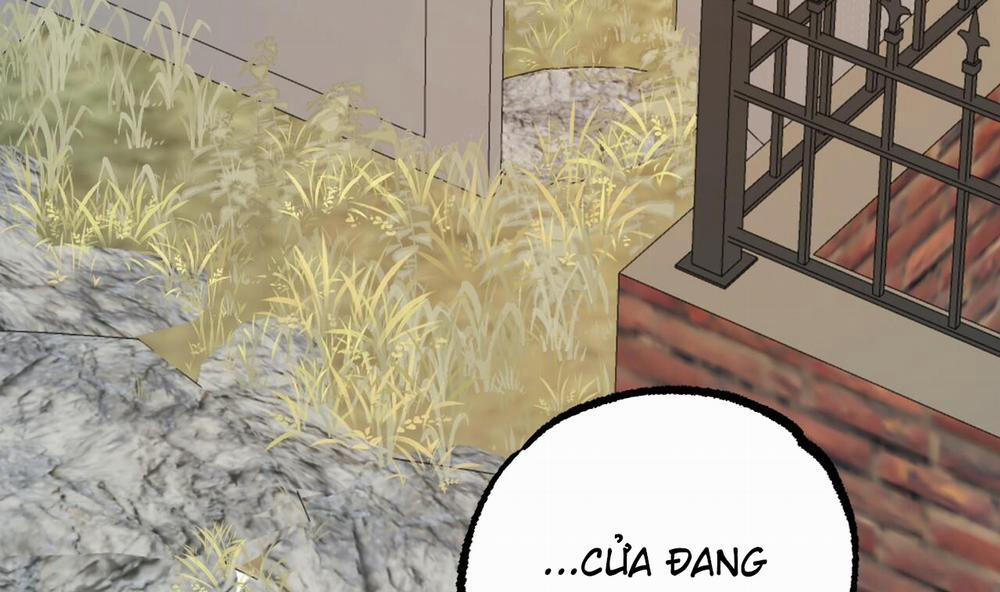 Đàn Thỏ Của Habibi 50 trang 26