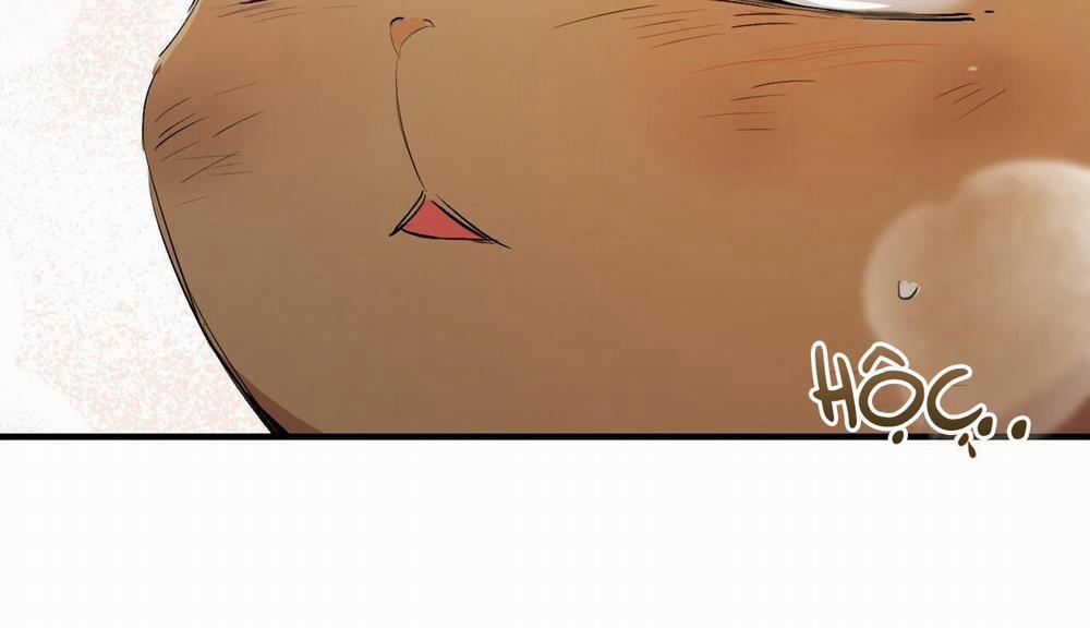 Đàn Thỏ Của Habibi 50 trang 262