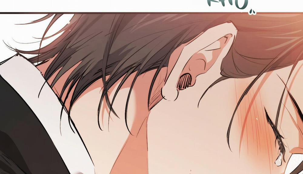 Đàn Thỏ Của Habibi 50 trang 273