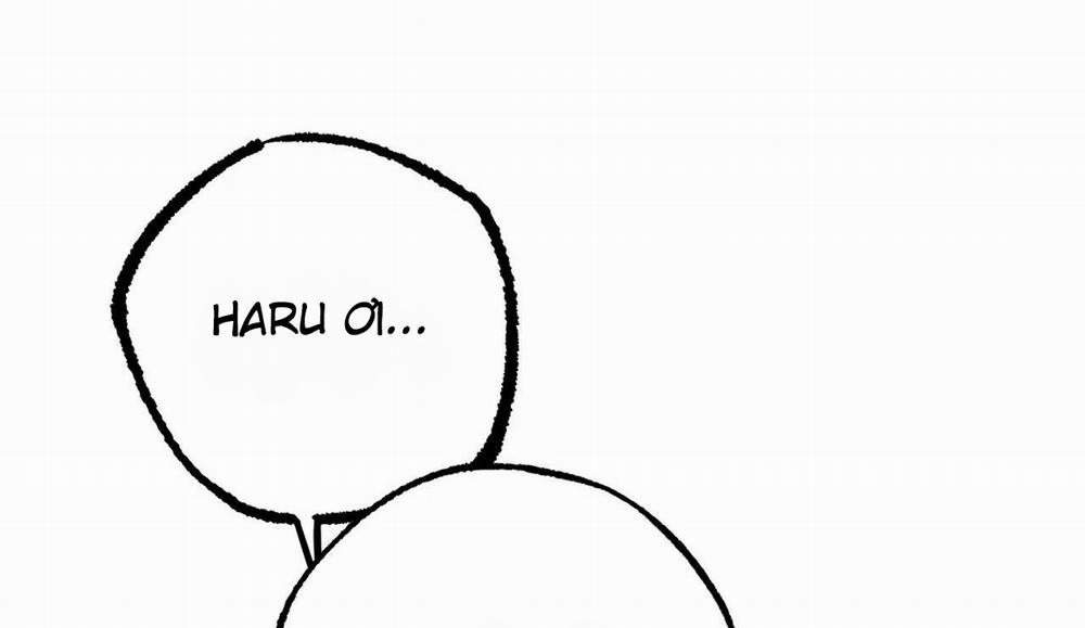 Đàn Thỏ Của Habibi 50 trang 284