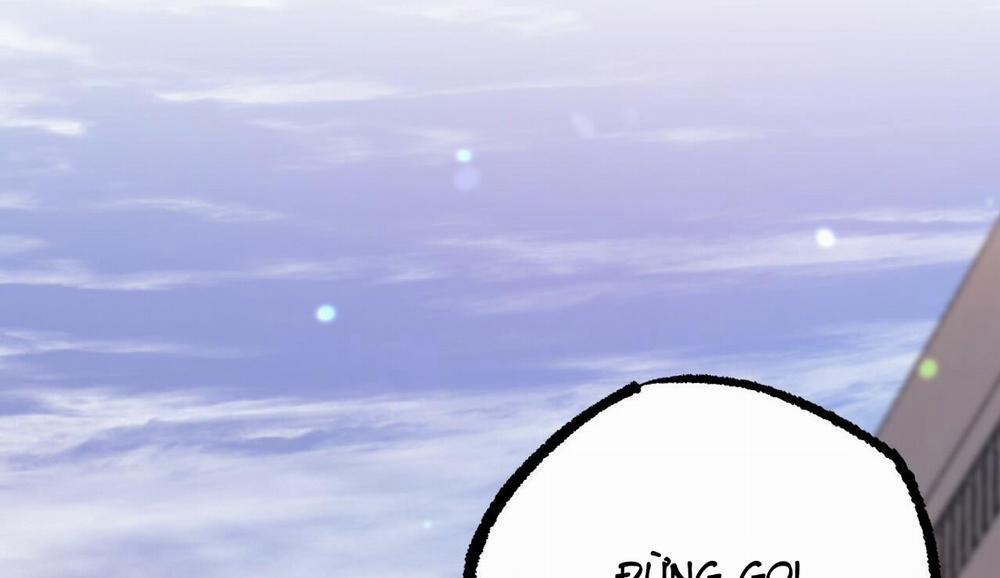 Đàn Thỏ Của Habibi 50 trang 288