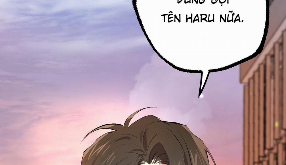 Đàn Thỏ Của Habibi 50 trang 289