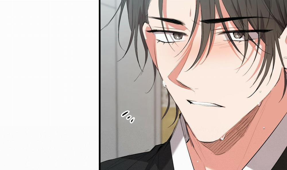 Đàn Thỏ Của Habibi 50 trang 32