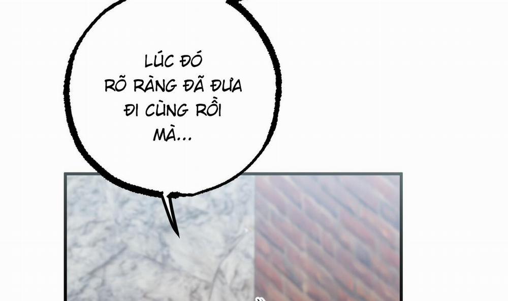 Đàn Thỏ Của Habibi 50 trang 63