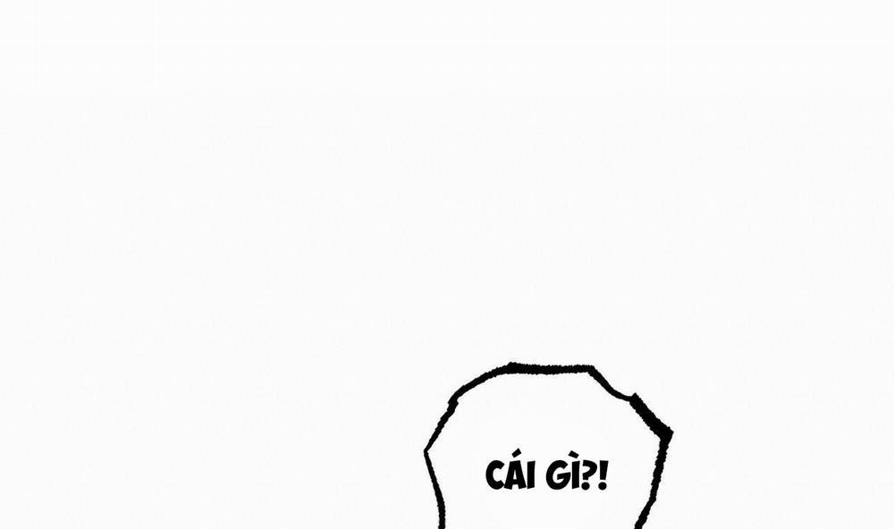 Đàn Thỏ Của Habibi 50 trang 66