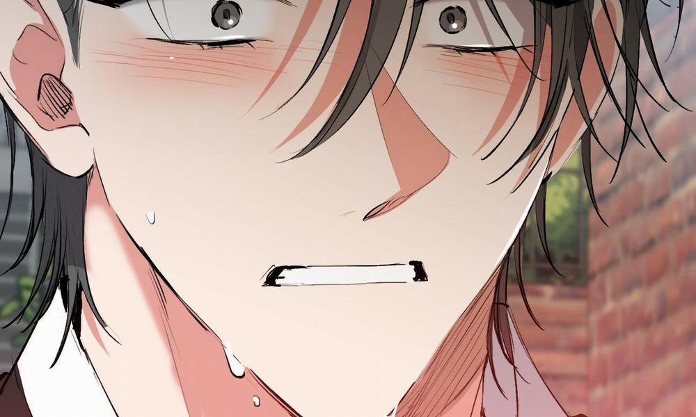 Đàn Thỏ Của Habibi 50 trang 78