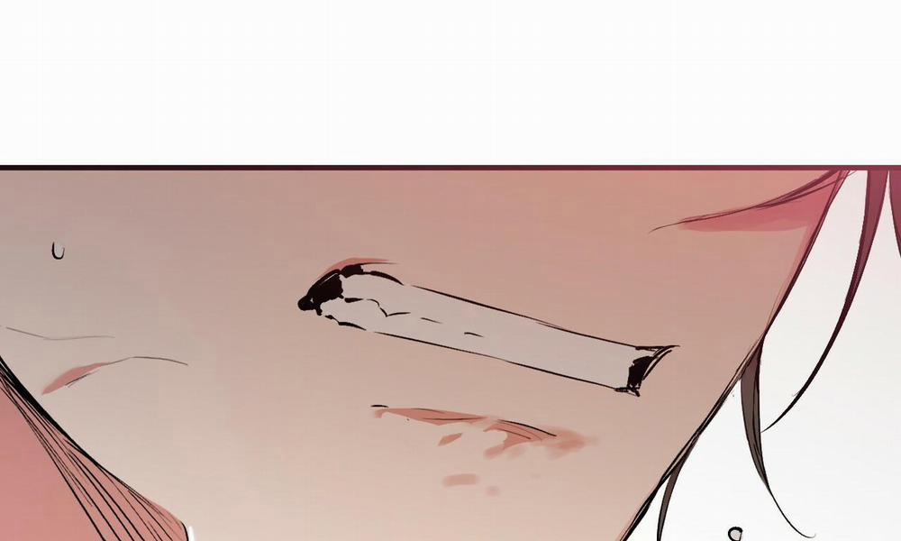 Đàn Thỏ Của Habibi 50 trang 8