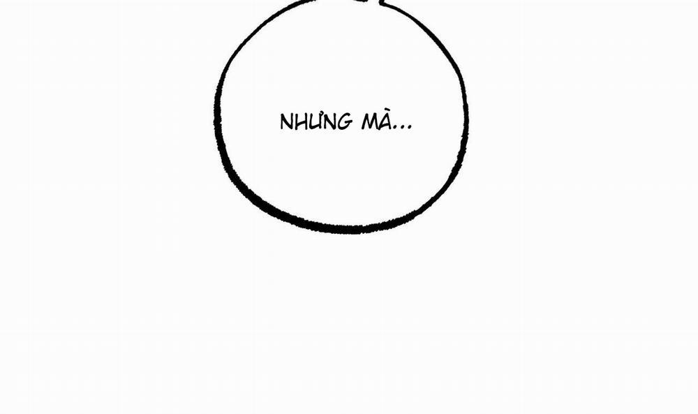 Đàn Thỏ Của Habibi 51 trang 140