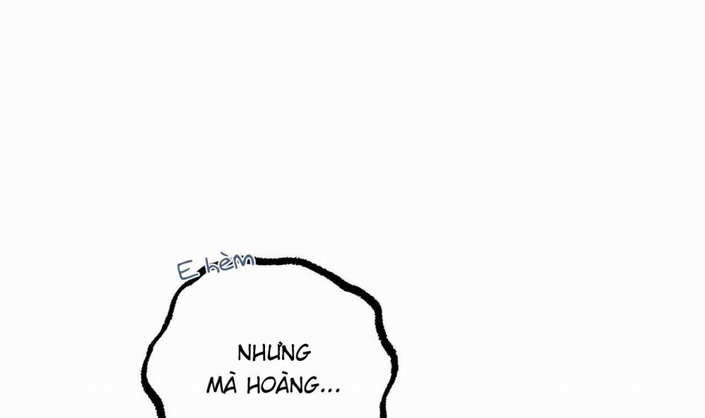 Đàn Thỏ Của Habibi 51 trang 146