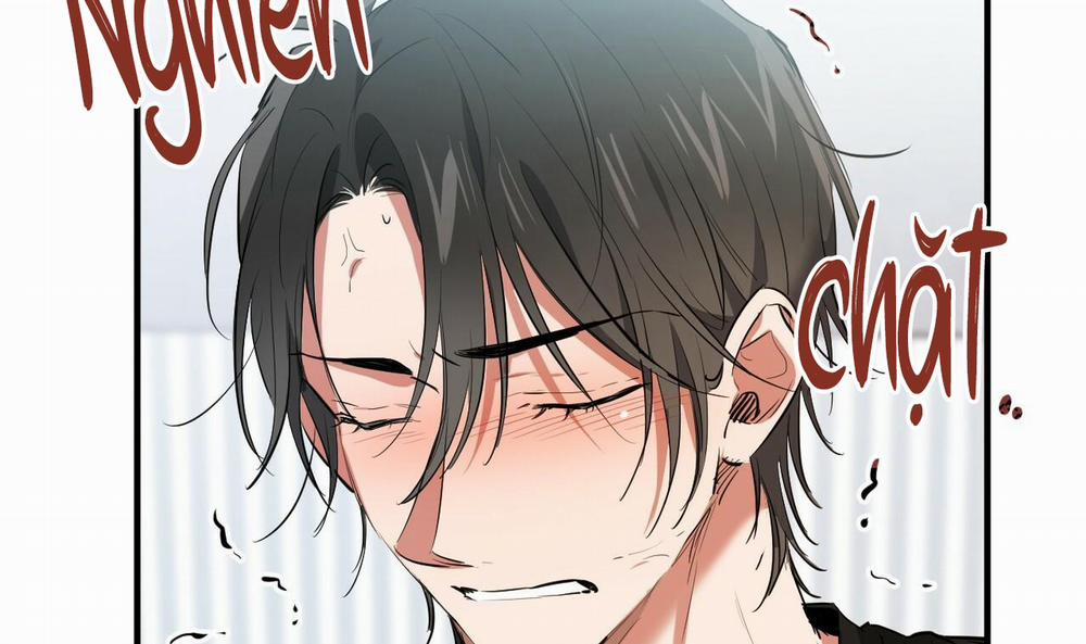 Đàn Thỏ Của Habibi 51 trang 173