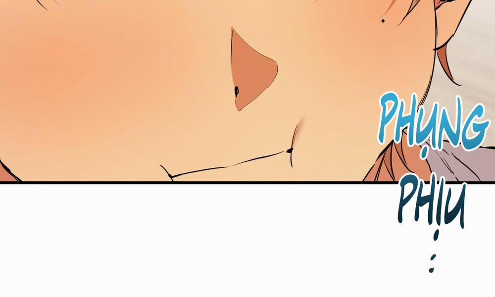 Đàn Thỏ Của Habibi 51 trang 185