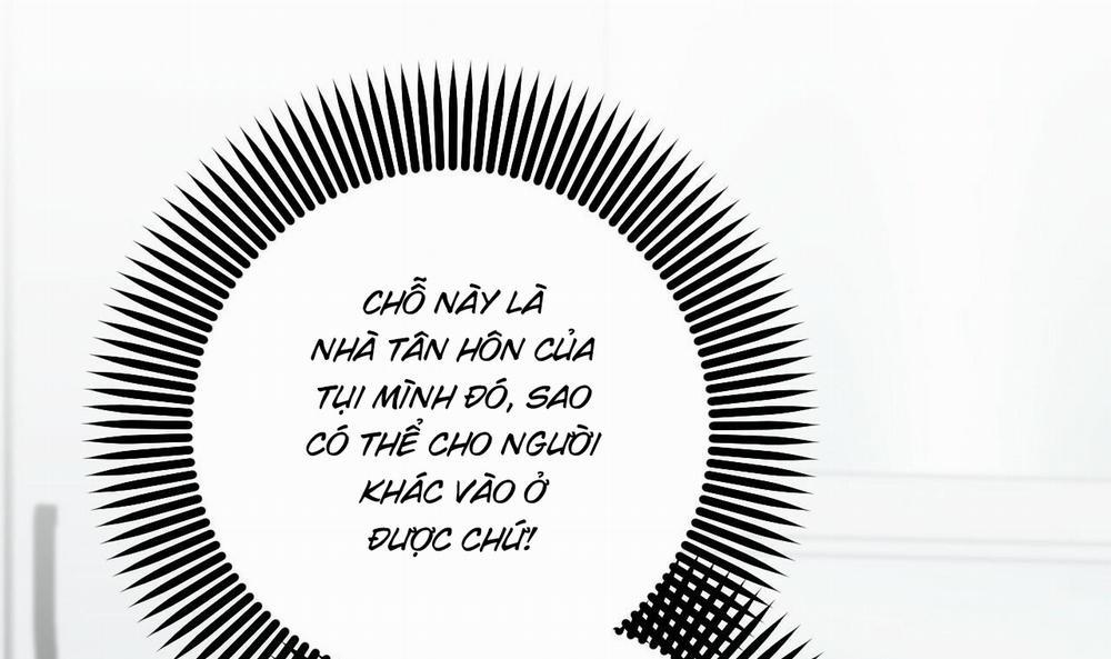 Đàn Thỏ Của Habibi 51 trang 205