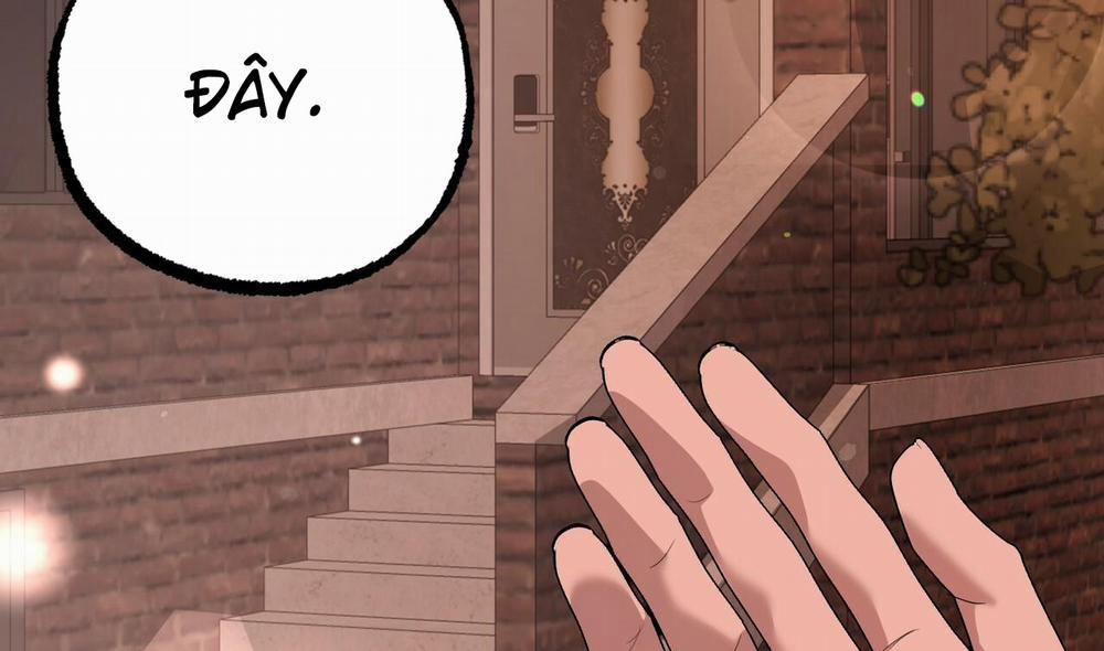 Đàn Thỏ Của Habibi 51 trang 226