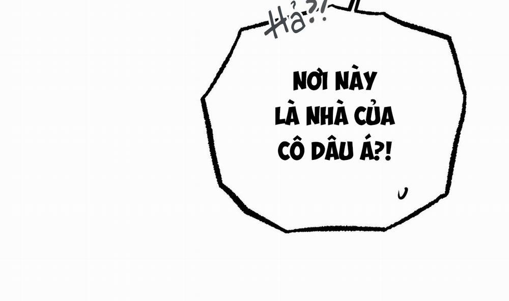 Đàn Thỏ Của Habibi 51 trang 242