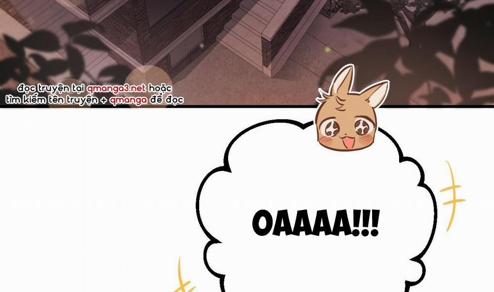 Đàn Thỏ Của Habibi 51 trang 247