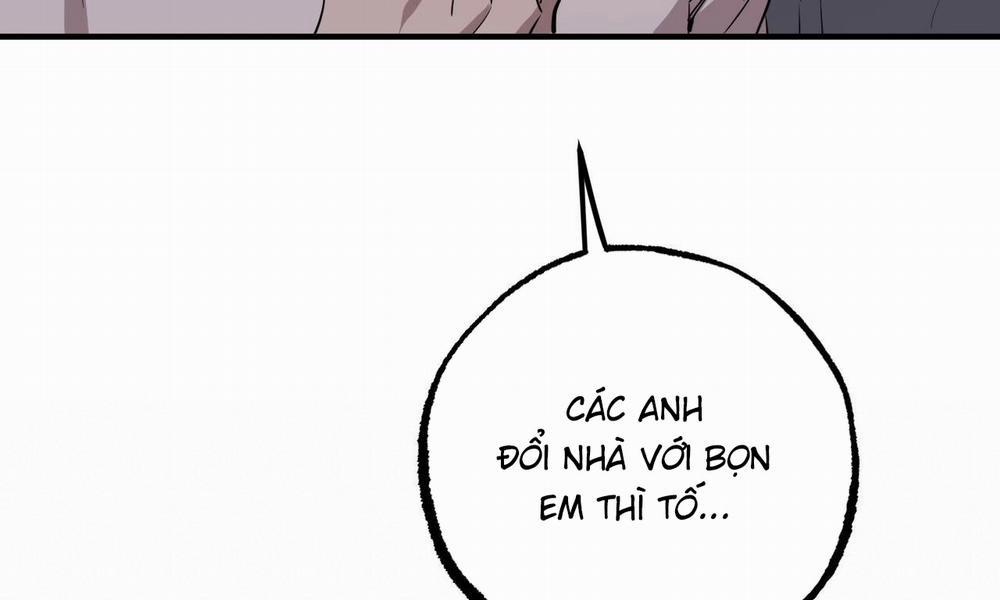 Đàn Thỏ Của Habibi 51 trang 252