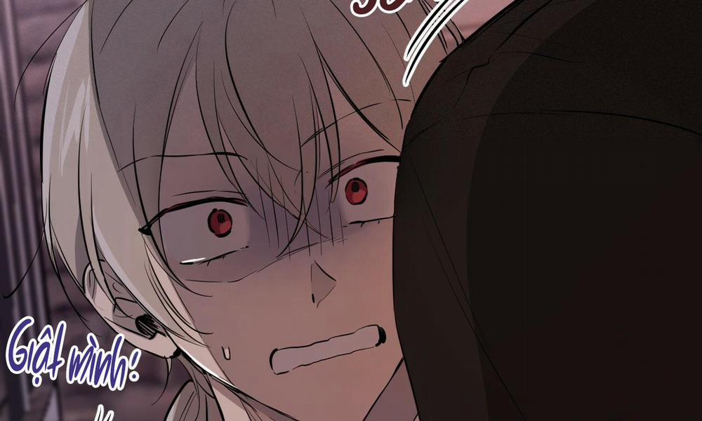 Đàn Thỏ Của Habibi 51 trang 254