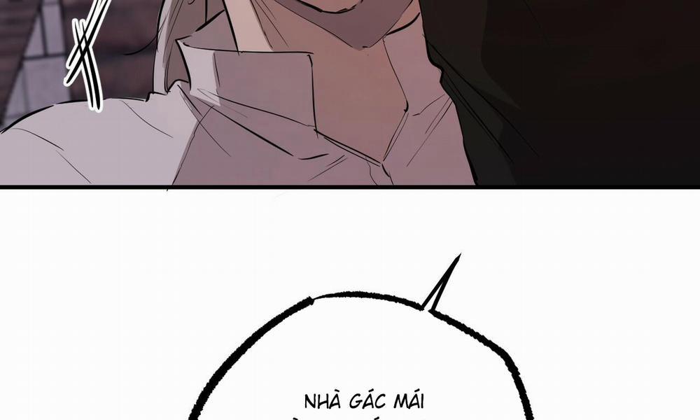 Đàn Thỏ Của Habibi 51 trang 255