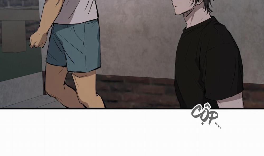 Đàn Thỏ Của Habibi 51 trang 278