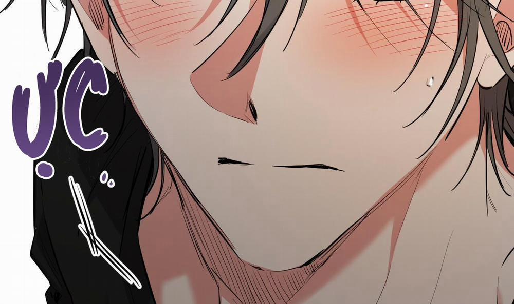 Đàn Thỏ Của Habibi 51 trang 294