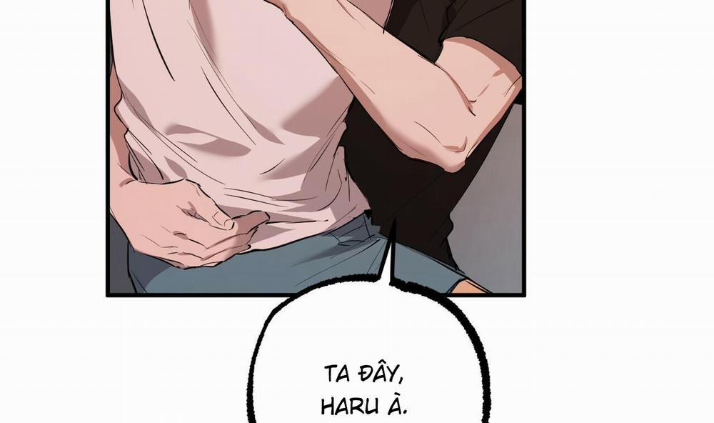 Đàn Thỏ Của Habibi 51 trang 51