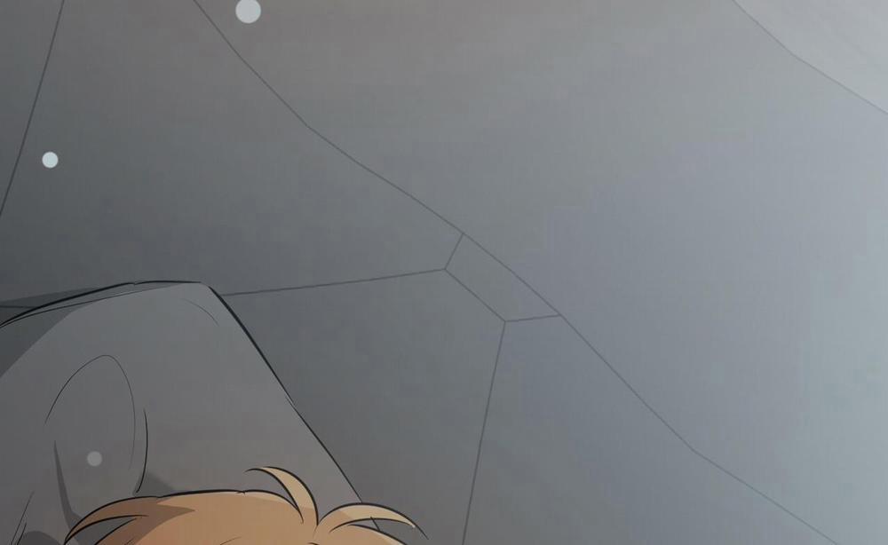 Đàn Thỏ Của Habibi 52 trang 115