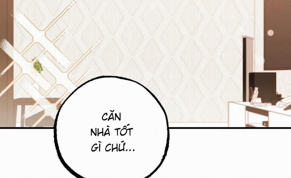 Đàn Thỏ Của Habibi 52 trang 142