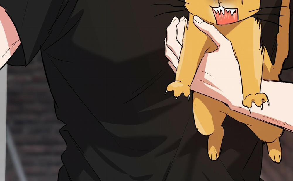 Đàn Thỏ Của Habibi 52 trang 195