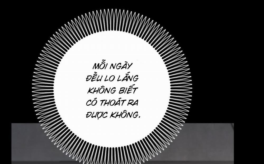 Đàn Thỏ Của Habibi 52 trang 21