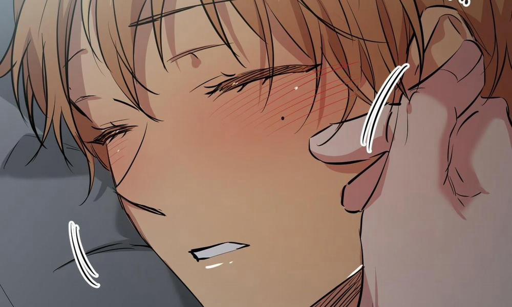 Đàn Thỏ Của Habibi 52 trang 230