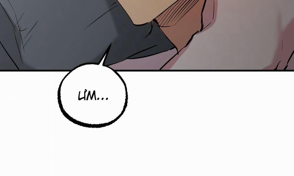 Đàn Thỏ Của Habibi 52 trang 231