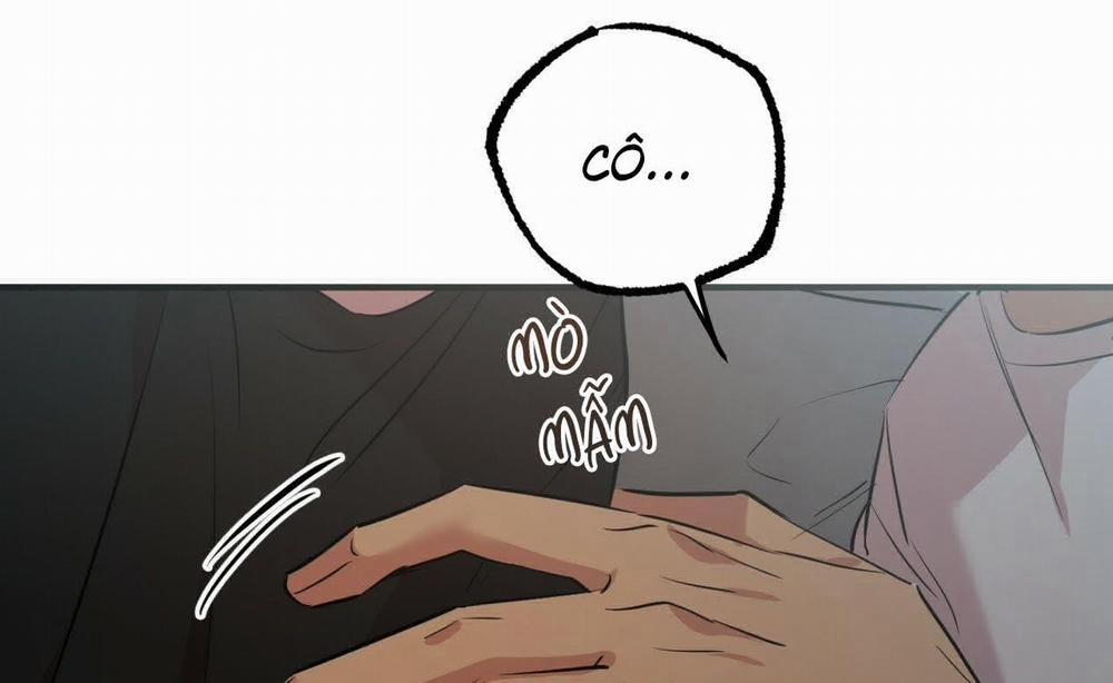 Đàn Thỏ Của Habibi 52 trang 233