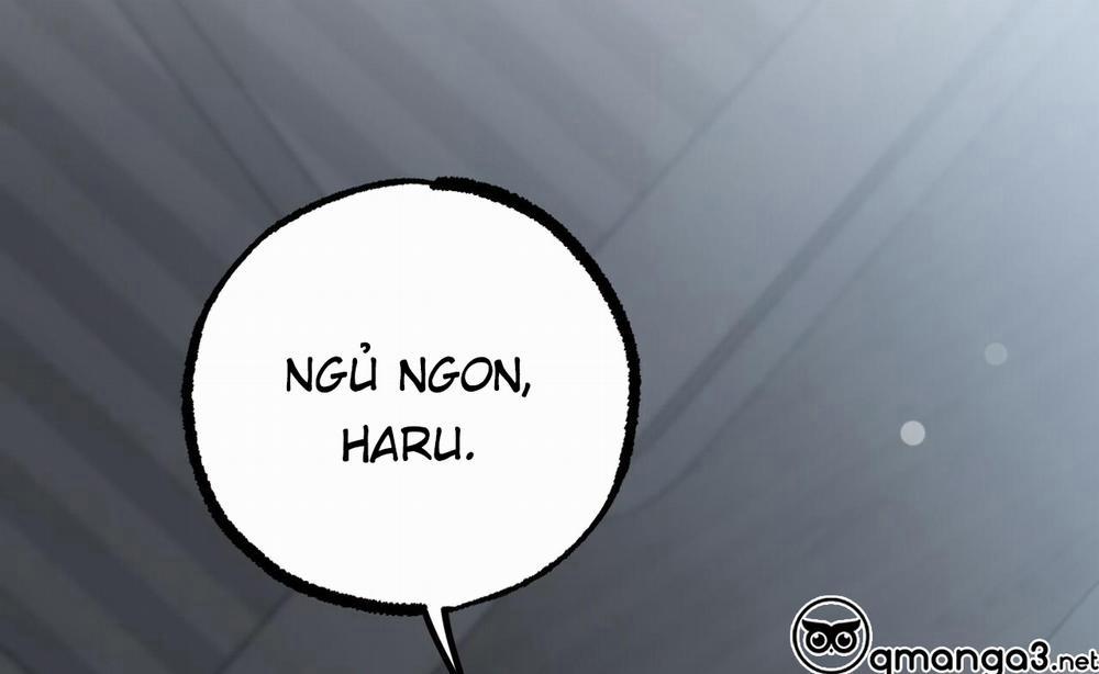 Đàn Thỏ Của Habibi 52 trang 246