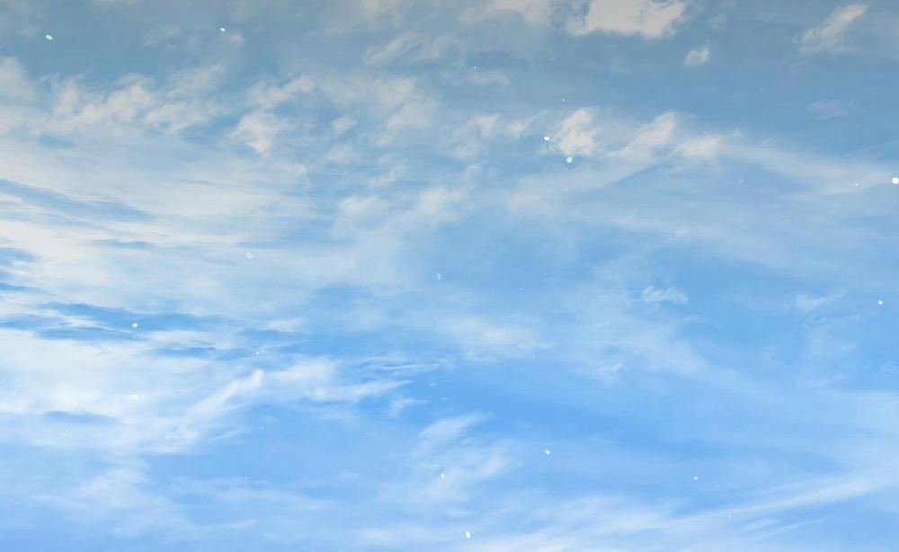 Đàn Thỏ Của Habibi 52 trang 253