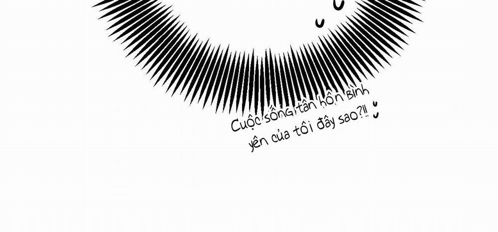 Đàn Thỏ Của Habibi 52 trang 287