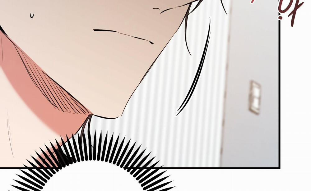 Đàn Thỏ Của Habibi 52 trang 44