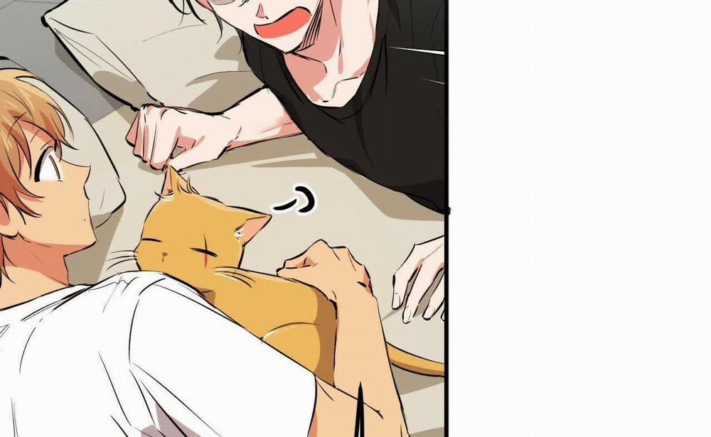 Đàn Thỏ Của Habibi 52 trang 58