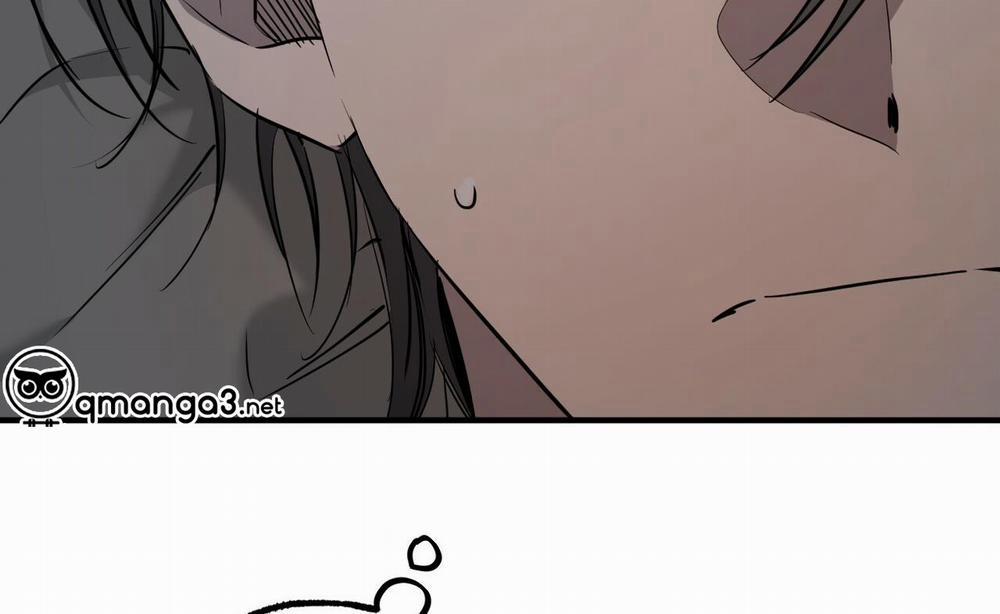 Đàn Thỏ Của Habibi 52 trang 82