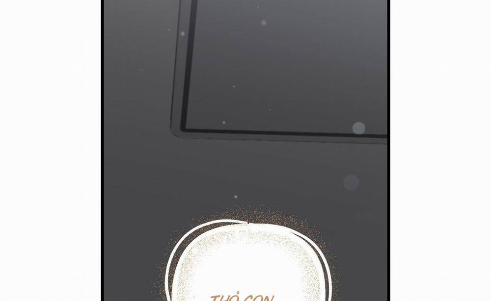 Đàn Thỏ Của Habibi 52 trang 89