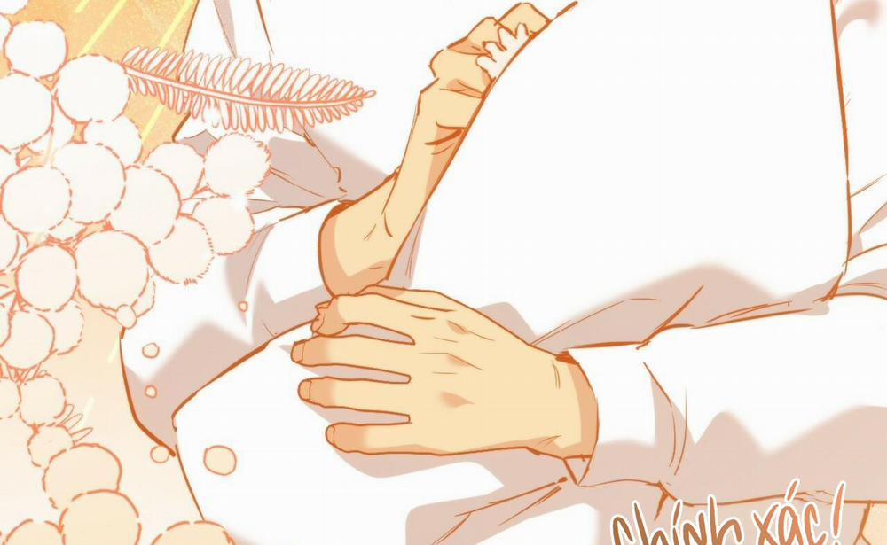 Đàn Thỏ Của Habibi 52 trang 95