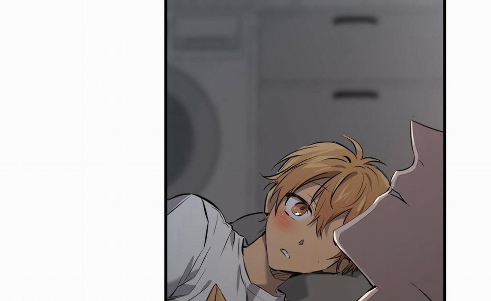 Đàn Thỏ Của Habibi 52 trang 99