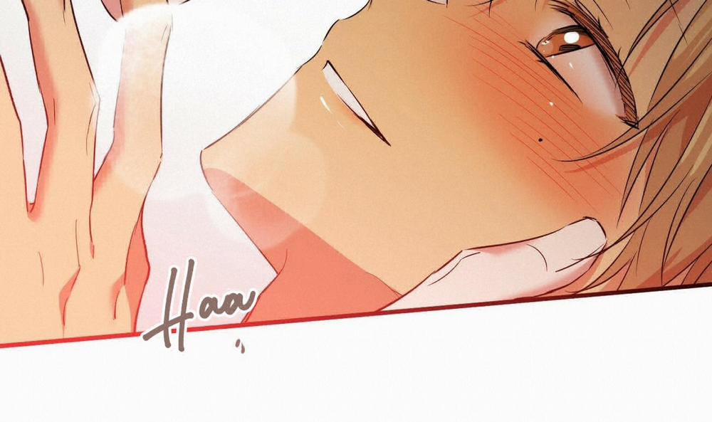 Đàn Thỏ Của Habibi 53 trang 221