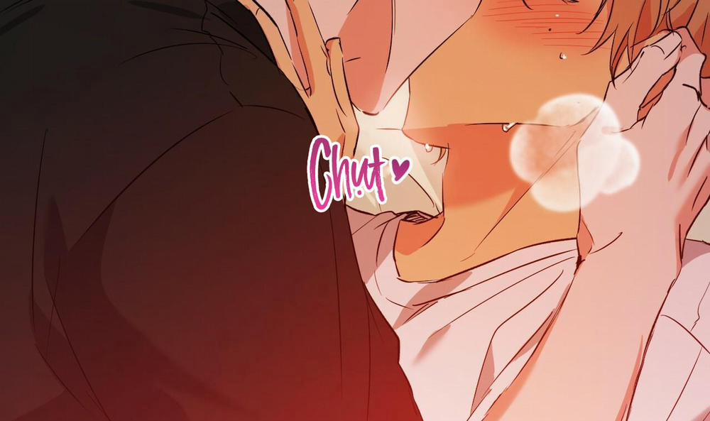 Đàn Thỏ Của Habibi 53 trang 228