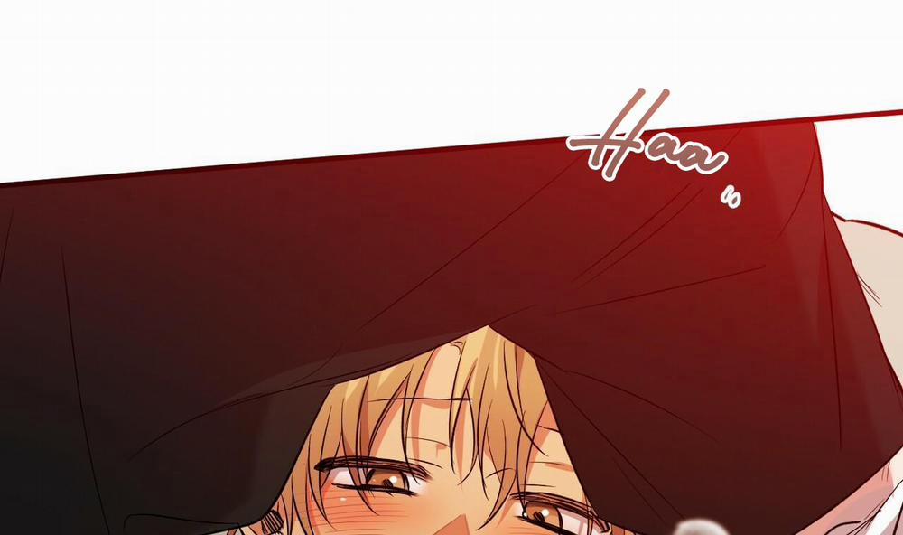 Đàn Thỏ Của Habibi 53 trang 235