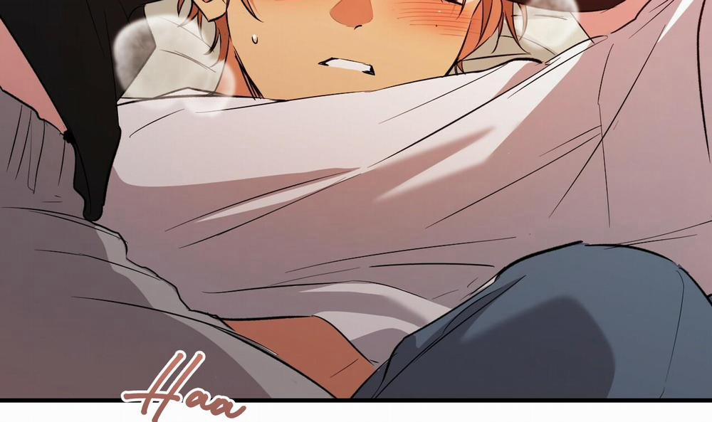 Đàn Thỏ Của Habibi 53 trang 236